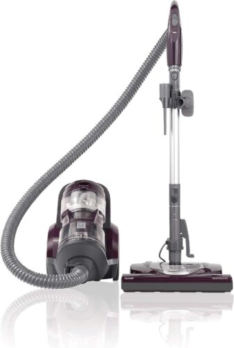 Kenmore Friendly Lightweight Bagless Compact Canister Vacuum
